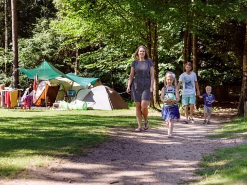 4-sterren-camping-nederland-6