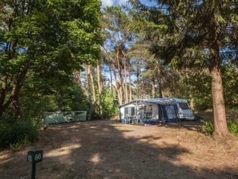 camping-op-de-veluwe-5